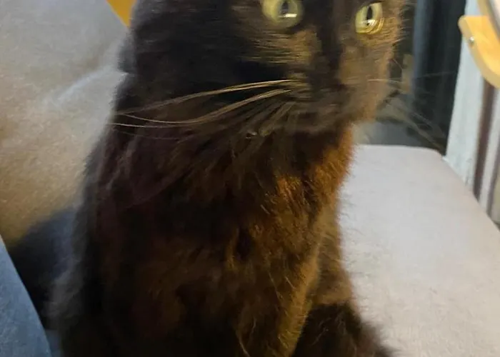 Проживание в семье Perfect Location In Вотафорд